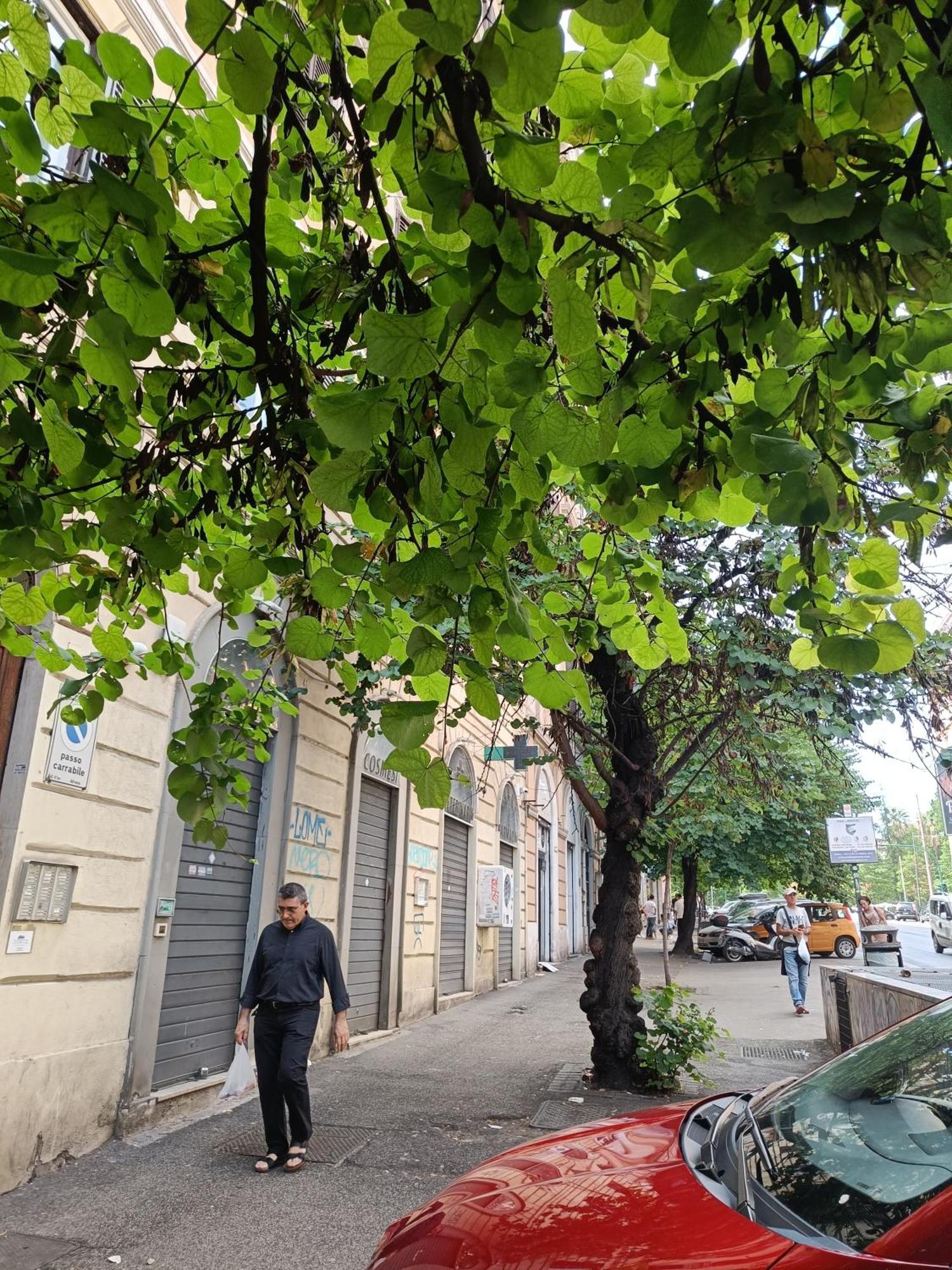 Suites In Рим Екстер'єр фото